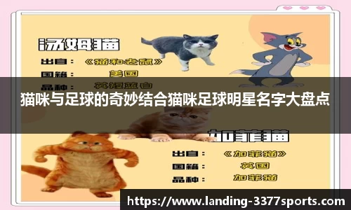 猫咪与足球的奇妙结合猫咪足球明星名字大盘点